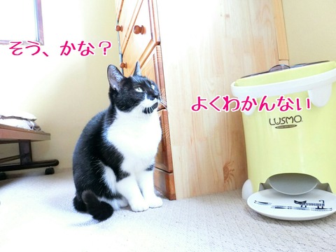 [画像:3a9c1302-s.jpg]