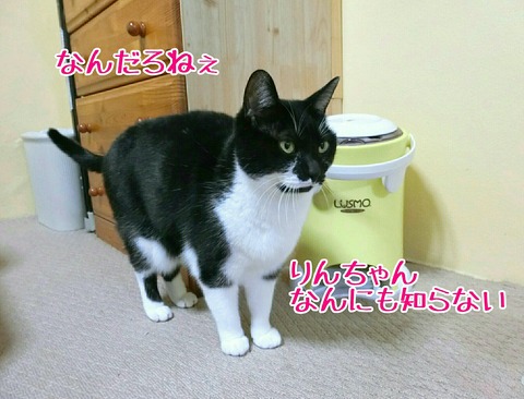 [画像:3f15c2a1-s.jpg]