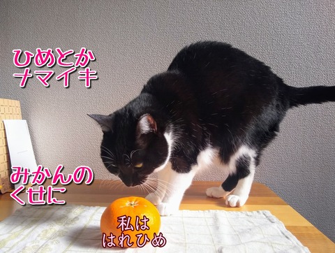 1609394891704