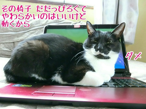 [画像:41704202-s.jpg]