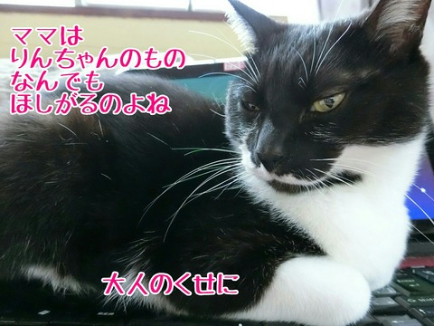 [画像:4254e481-s.jpg]