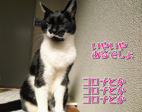 1606773545502