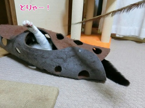 [画像:47bd5c81-s.jpg]