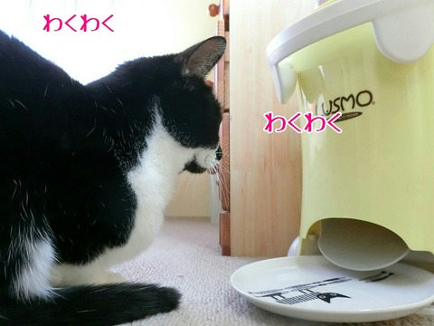 [画像:48596214-s.jpg]