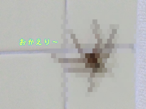 1622872619200