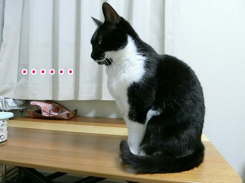 [画像:5735697c-s.jpg]