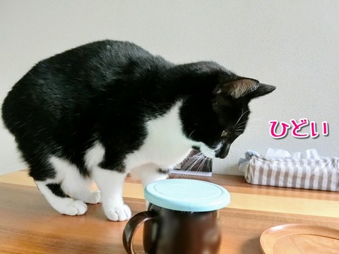 Point Blur_20181231_163927