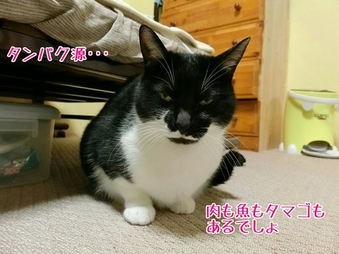 [画像:5de7fa5f-s.jpg]