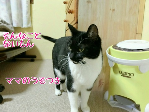 [画像:664a4119-s.jpg]