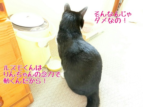 [画像:67a8dd43-s.jpg]