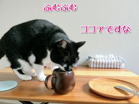 Point Blur_20181231_163749