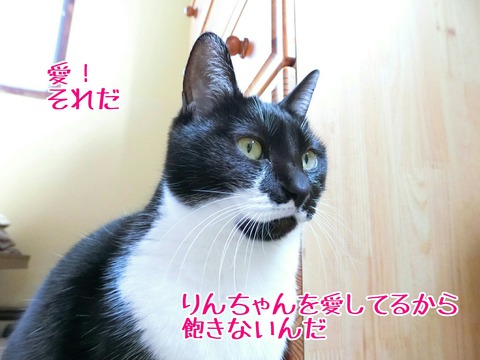 [画像:75be6a10-s.jpg]