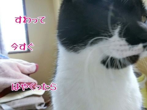 [画像:785984ed-s.jpg]