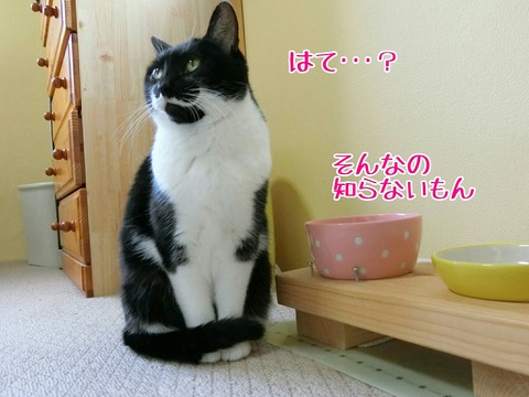 [画像:78676e94-s.jpg]