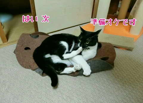 [画像:78ac3d8d-s.jpg]