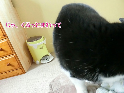 [画像:7efc22c2-s.jpg]