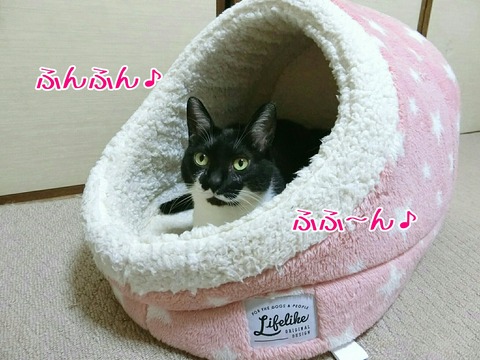 [画像:83670bd5-s.jpg]