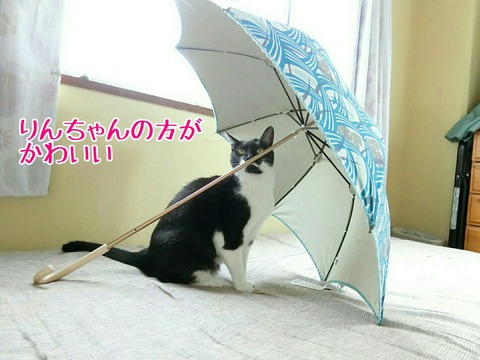 [画像:83a39c5f-s.jpg]