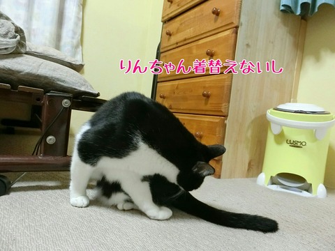 [画像:870346a9-s.jpg]