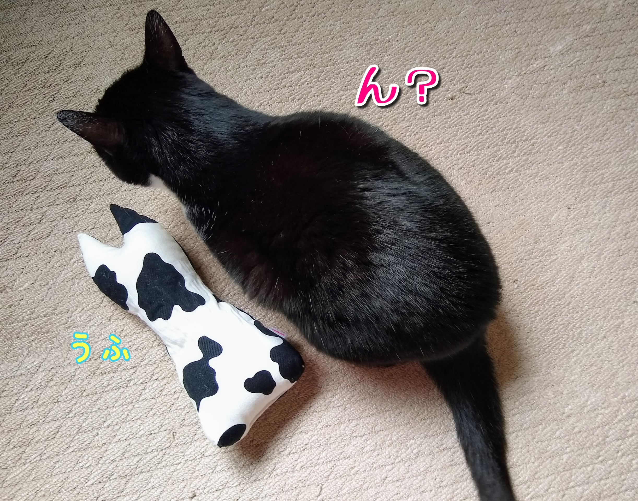 猫キャラところかまわず りんちゃん至上主義