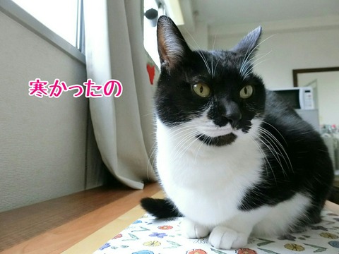 [画像:93c6838f-s.jpg]