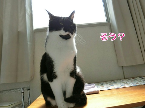 [画像:9bcfd8dd-s.jpg]