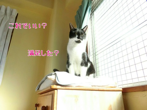 [画像:9ee8e8bc-s.jpg]