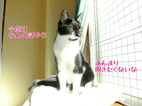 [画像:9fa1c41c-s.jpg]