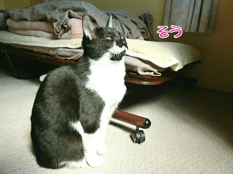 [画像:a5a5b741-s.jpg]