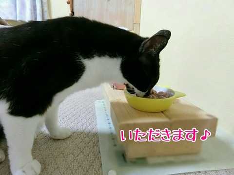 [画像:a9eeedbe-s.jpg]