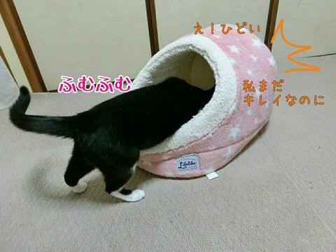 [画像:acaf0fee-s.jpg]