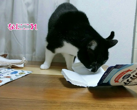 [画像:acd23f30-s.jpg]