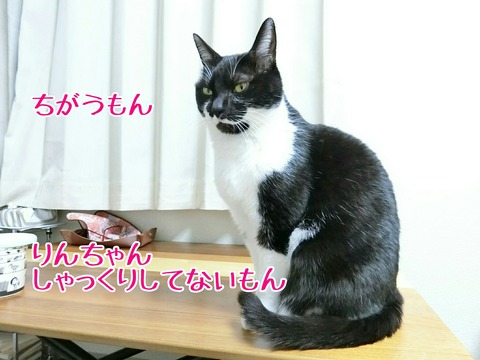 [画像:b130c7c2-s.jpg]