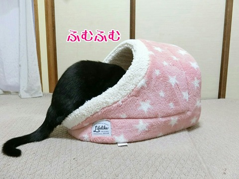 [画像:b3384db6-s.jpg]