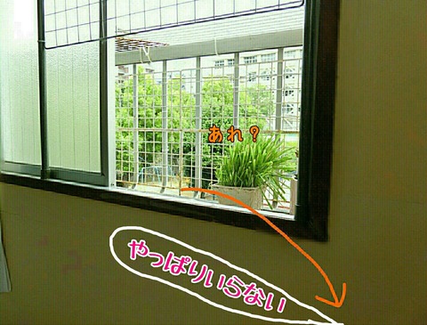 [画像:b4ef0c16-s.jpg]