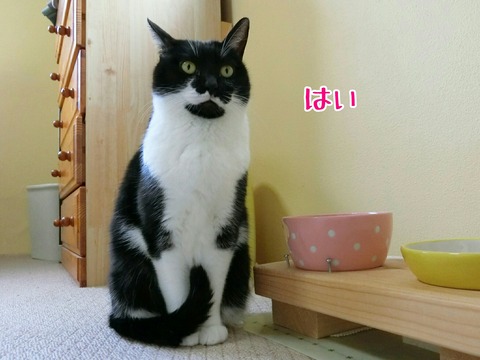 [画像:b4f20e1a-s.jpg]