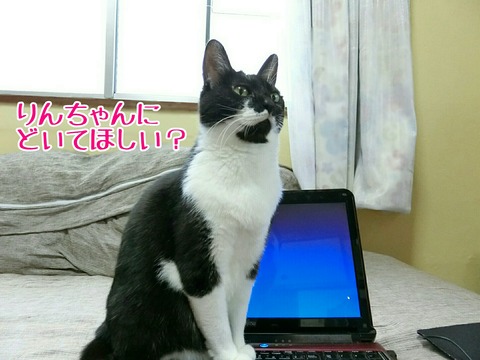 [画像:b832c7d8-s.jpg]