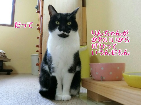 [画像:b8552420-s.jpg]