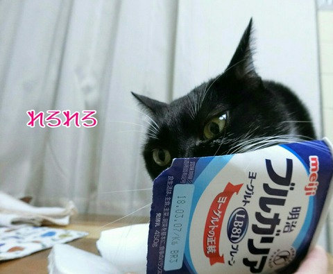 [画像:bd27fb58-s.jpg]