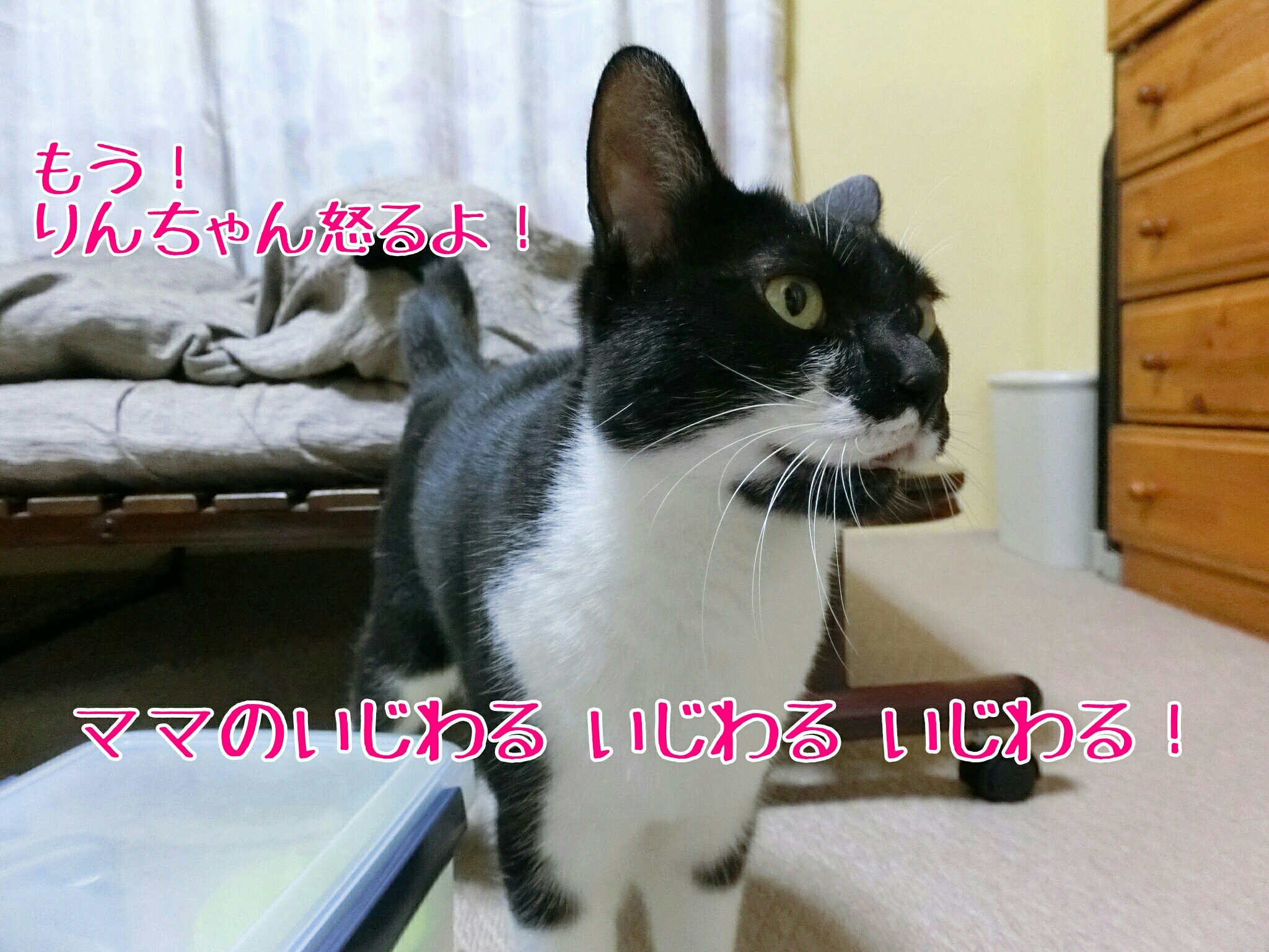可愛いといじめたくなるんだ りんちゃん至上主義