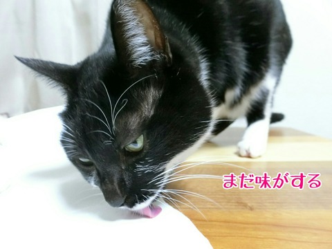 [画像:c8c54ac7-s.jpg]