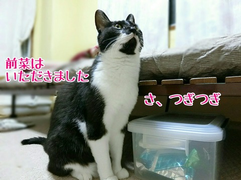 [画像:d06233d6-s.jpg]