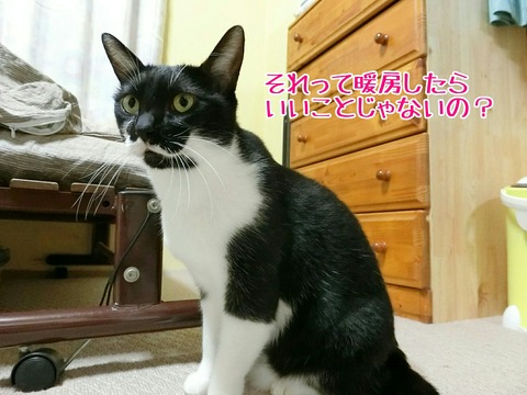 [画像:d27e11f7-s.jpg]