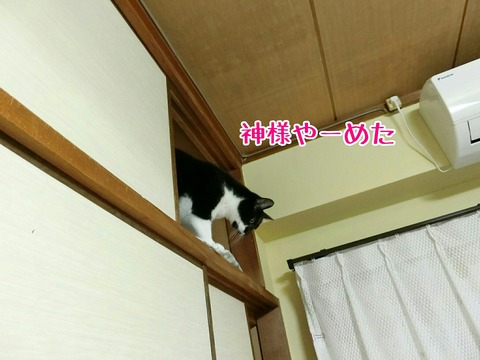 [画像:d347f36c-s.jpg]