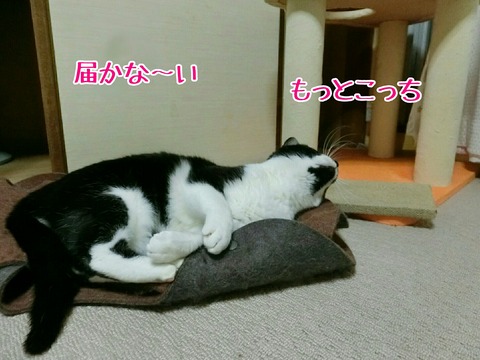 [画像:d5d107c1-s.jpg]