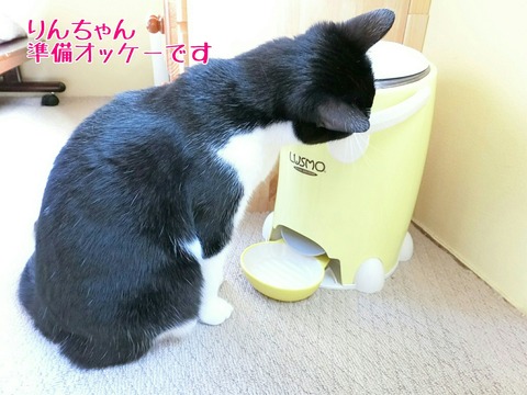 [画像:d69109d0-s.jpg]