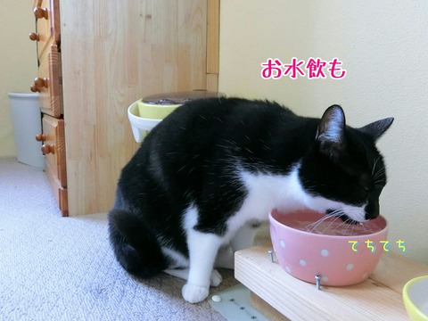 [画像:d6ef628f-s.jpg]