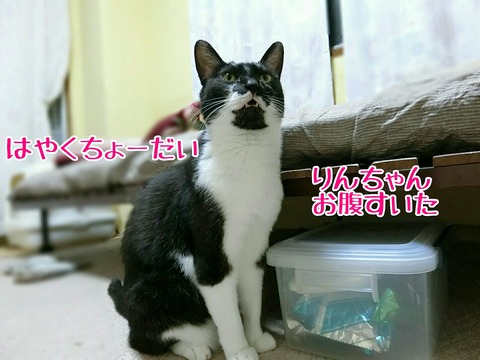 [画像:db130444-s.jpg]