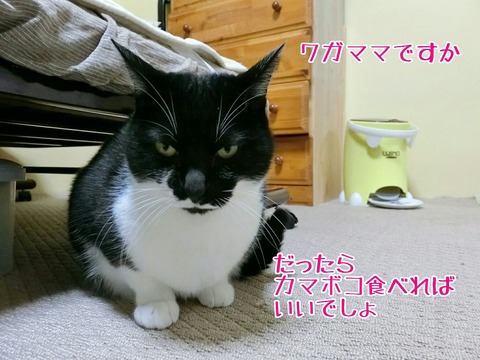 [画像:db3c172b-s.jpg]