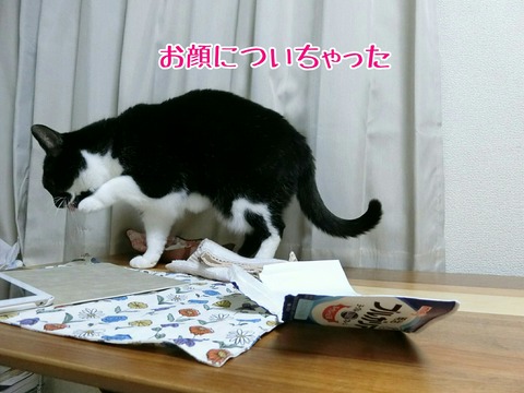 [画像:dc72ea41-s.jpg]